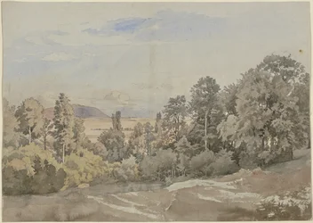 Bosque con vista lejana