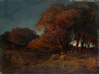 Bosque de otoño a la luz de la luna