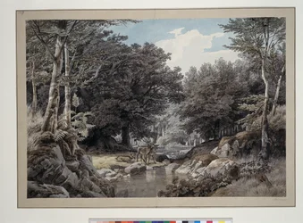 Interior de bosque con ciervos junto al agua