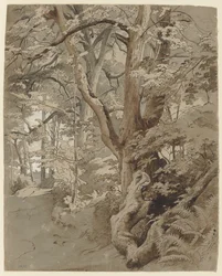 Escena de bosque con un roble y helechos