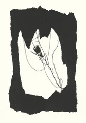 Johanna Beckmann silueta (litografía)