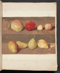 Estudio de manzanas y peras