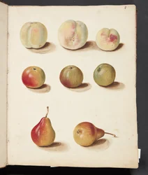 Estudio de durazno, manzana y pera