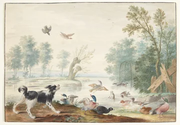Un perro y patos junto al lago