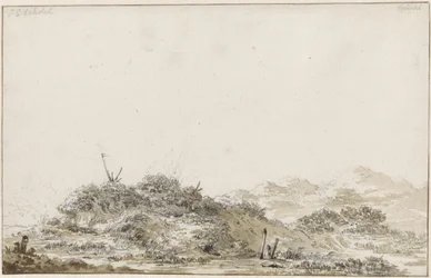 Paisaje de dunas