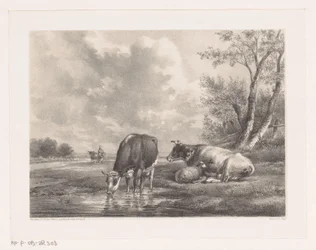 Dos vacas y ovejas junto al agua.