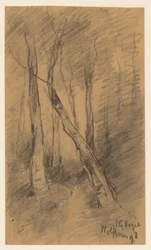 Paisaje forestal cerca de Wolfheze