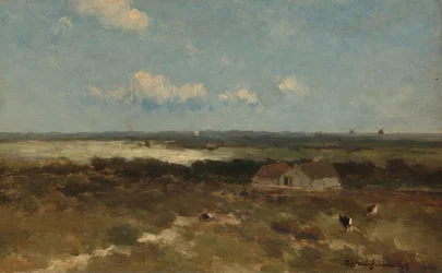 Paisaje dunar
