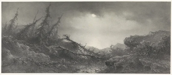 Después de la tormenta