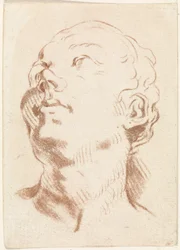 Cabeza de mujer