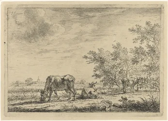 Tres vacas en un prado