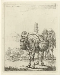 Dos mulas cargadas