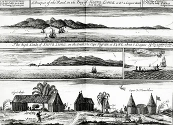 Una perspectiva del camino en la bahía de Sierra Liona, una ilustración del vol.5 de 