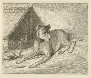 Perro en una cadena en una perrera