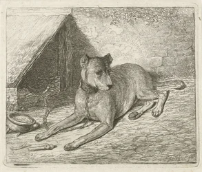 Perro en una cadena en una perrera