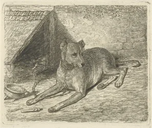Perro en una cadena en una perrera