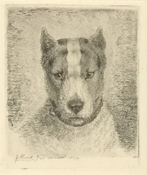 cabeza de perro con collar