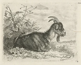 libro mentiroso