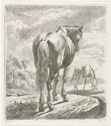 Caballo visto desde atrás