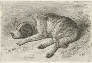 Perro durmiendo a la izquierda Neptuno (título sobre el objeto)