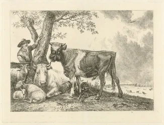 Tauro y granjero