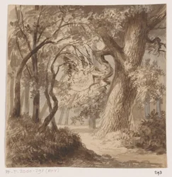 Paisaje forestal