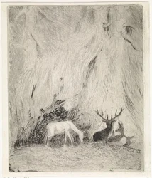 Ciervo en un bosque bohemio