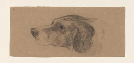 Cabeza de perro, a la izquierda