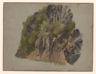 Rocas y vegetación