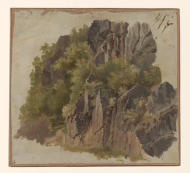 Rocas y vegetación