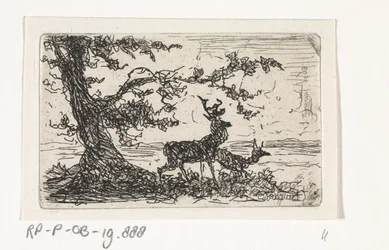 Dos ciervos debajo de un árbol