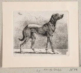 Un perro de pie