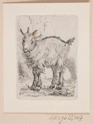 Un cabrito
