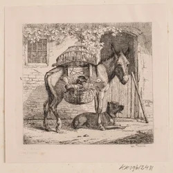 El burro del vendedor de gallinas