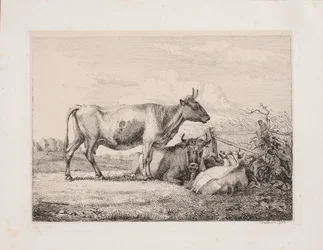 Vacas en el campo