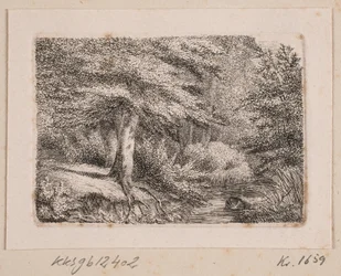 Paisaje forestal