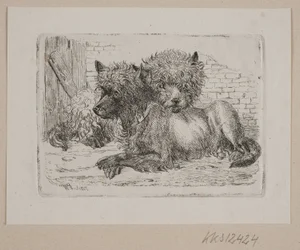 Dos perros acostados