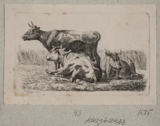 Tres vacas