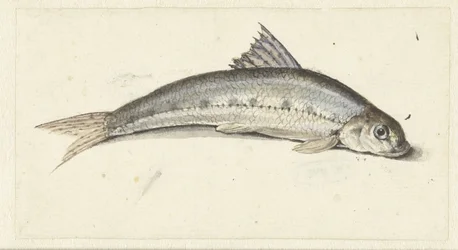 Góndola
