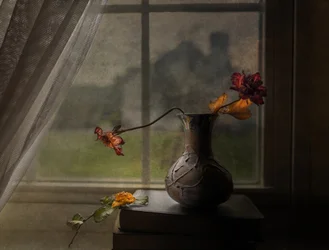 Vista de la ventana con rosas secas