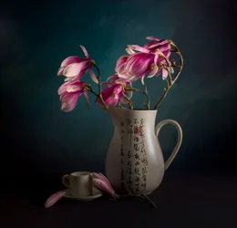 Elegante bodegón de magnolias