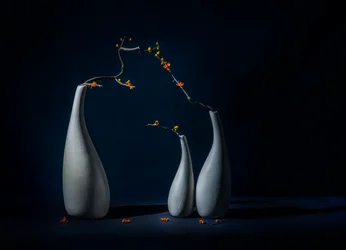 Jarrones elegantes con flores