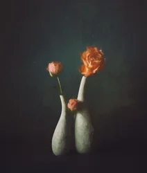 Jarrones «Moody Rose»
