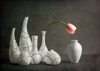 Jarrones agrietados con tulipanes rosas