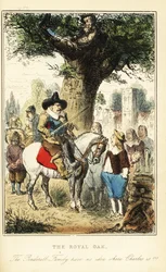 Rey Carlos II escondido en un roble en Boscobel Wood, después de la Batalla de Worcester