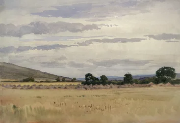 Paisaje con campo de maíz