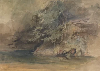 Árboles junto a una piscina