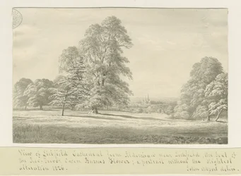 Catedral de Lichfield - Vista desde Aldershaw (distante)