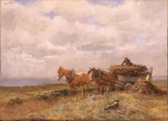Transporte de turba