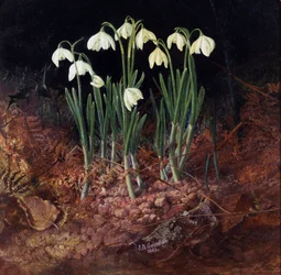 Perce neige (perce-neige). Pintura de John Atkinson Grimshaw (1836-1893)